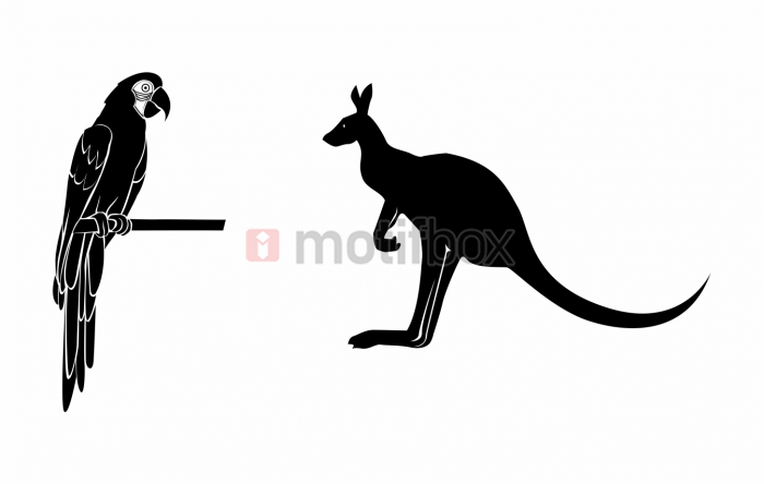 parrot &  kangaroo 